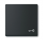 Клавиша одинарная перекидная символ «ключ/дверь» пластик черный матовая ABB Накладки Future/Axcent/Carat/ДИНАСТИЯ