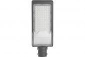 Уличный светодиодный светильник FERON 100W AC230V/50Hz цвет серый IP65, SP3033
