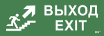 Этикетка самокл. 280х100мм "Выход/лест. вверх/фигура" IEK