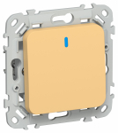 FLITE Выключ. 1-кл. с инд. 10А ВС11-1-1-ФлЗ зол. IEK