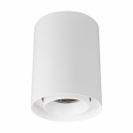 Светильник SP-FOCUS-R110-18W Day4000 (WH, 36 deg, 230V) (Arlight, IP54 Металл, 5 лет)