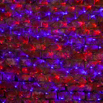 Гирлянда "Сеть" 2х1,5м, черный ПВХ, 288 LED Красные/Синие Neon-Night (1/1/10)