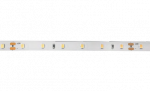 Лента светодиодная PLS PRO-5 2835/ 60-24V 4000K  6W/m IP20-5m Jazzway Лента светодиодная PLS PRO-5 2835/ 60-24V 4000K  6W/m IP20-5m Jazzway
