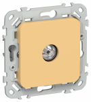 FLITE Роз. TV экран. оконечная тип M РТВм-1-1-1-ФлЗ зол. IEK FLITE Роз. TV экран. оконечная тип M РТВм-1-1-1-ФлЗ зол. IEK