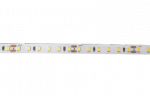 Лента светодиодная PLS PRO-5 2835/120-24V 6000K 10W/m IP20-5m Jazzway Лента светодиодная PLS PRO-5 2835/120-24V 6000K 10W/m IP20-5m Jazzway