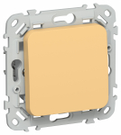 FLITE Выключ. 1-кл. прох. 10А ВС61-1-0-ФлЗ зол. IEK FLITE Выключ. 1-кл. прох. 10А ВС61-1-0-ФлЗ зол. IEK