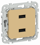 FLITE Роз. USB AA 2,1А РЮ-2-ФлШм ш/а IEK FLITE Роз. USB AA 2,1А РЮ-2-ФлШм ш/а IEK