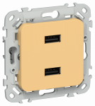 FLITE Роз. USB AA 2,1А РЮ-2-ФлЗ зол. IEK FLITE Роз. USB AA 2,1А РЮ-2-ФлЗ зол. IEK