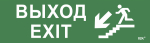 Наклейка самоклеющаяся "Выход/лестница вниз/фигура" 310х90мм IEK (1/10)