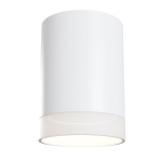 Потолочный светильник Pauline GU10 1x10Вт