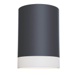 Потолочный светильник Pauline GU10 1x10Вт