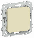 FLITE Заглушка с суппортом ЗГ-ФлН нав. IEK FLITE Заглушка с суппортом ЗГ-ФлН нав. IEK