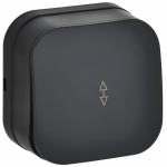 GLORY Выключ. 1-кл. прох. о/у 10А ВСп10-1-0-ХЧм черн. м. IEK