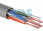 UTP 4PR 24AWG CAT5e информационный (0,48мм медь) (50м/бухта) REXANT (1/1) UTP 4PR 24AWG CAT5e информационный (0,48мм медь) (50м/бухта) REXANT (1/1)