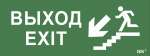 Наклейка самоклеющаяся "Выход/лестница вниз/фигура" 240х90мм IEK (1/10)