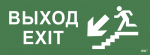 Наклейка самоклеющаяся "Выход/лестница вниз/фигура" 350х130мм IEK (1/10)