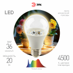 Фитолампа для растений светодиодная ЭРА FITO-20W-Ra90-E27 полного спектра 20 Вт Е27 Фитолампа для растений светодиодная ЭРА FITO-20W-Ra90-E27 полного спектра 20 Вт Е27