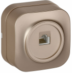 GLORY Роз. комп. RJ45 кат.5E о/у РК10-ХШм шамп. м. IEK GLORY Роз. комп. RJ45 кат.5E о/у РК10-ХШм шамп. м. IEK