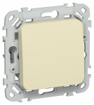 FLITE Выключ. 1-кл. кноп. прох. 10А ВС61-2-0-ФлН нав. IEK FLITE Выключ. 1-кл. кноп. прох. 10А ВС61-2-0-ФлН нав. IEK