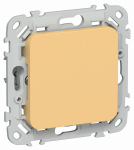 FLITE Заглушка с суппортом ЗГ-ФлЗ зол. IEK FLITE Заглушка с суппортом ЗГ-ФлЗ зол. IEK