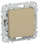 FLITE Выключ. 1-кл. 10А ВС11-1-0-ФлХ хак. IEK FLITE Выключ. 1-кл. 10А ВС11-1-0-ФлХ хак. IEK