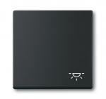Клавиша одинарная перекидная символ «свет» пластик черный матовая ABB Накладки Future/Axcent/Carat/ДИНАСТИЯ