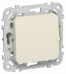 Выключатель 1кл прох с/у сливочный механизм ВС61-1-0-ФлСл FLITE IEK (1/100)