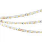 Лента RT-B60-10mm 24V White-MIX (14.4 W/m, IP20, 5m) (Arlight, Изменяемая ЦТ) Лента RT-B60-10mm 24V White-MIX (14.4 W/m, IP20, 5m) (Arlight, Изменяемая ЦТ)