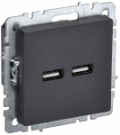 Розетка 2гн USB+USB A+A с/у черный механизм 5В 3,1А РЮ10-1-БрЧ BRITE IEK (1/8/80)