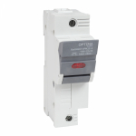 Предохранитель-разъединитель модульный OptiHold CFH22-100-1 Предохранитель-разъединитель модульный OptiHold CFH22-100-1
