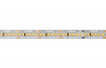 Лента светодиодная PLS PRO-5 2835/240-24V 4000K 20W/m IP20-5m Jazzway