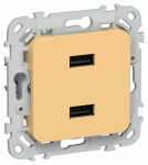 FLITE Роз. USB AA 2,1А РЮ-2-ФлЗ зол. IEK FLITE Роз. USB AA 2,1А РЮ-2-ФлЗ зол. IEK