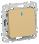 FLITE Выключ. 1-кл. прох. с инд. 10А ВС61-1-1-ФлШм ш/а IEK FLITE Выключ. 1-кл. прох. с инд. 10А ВС61-1-1-ФлШм ш/а IEK