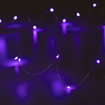 Светодиодная гирлянда ARD-DEW-HOME-2000-CLEAR-20LED-STD Purple (1.5V, Battery Pack, Cork) (Ardecoled, IP20) Светодиодная гирлянда ARD-DEW-HOME-2000-CLEAR-20LED-STD Purple (1.5V, Battery Pack, Cork) (Ardecoled, IP20)