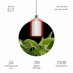 Светильник для растений ЭРА FITO-Hanging сeramic holder 3 m подвесной патрон керамический с кабелем и цоколем Е27 Светильник для растений ЭРА FITO-Hanging сeramic holder 3 m подвесной патрон керамический с кабелем и цоколем Е27