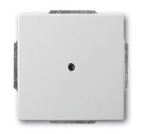 Центр. плата прочее с/у металл нержавеющая сталь IP20 ABB Pure steel