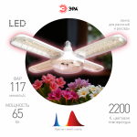 Фитолампа для растений светодиодная ЭРА GREEN LINE ФИТО-65W-PL-E27-GR 5-ти лепестковая розового свечения 65 Вт Е27 Фитолампа для растений светодиодная ЭРА GREEN LINE ФИТО-65W-PL-E27-GR 5-ти лепестковая розового свечения 65 Вт Е27