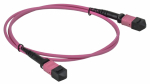 ITK Сборка кабельная MTPf-MTPf тип B 12 MM OM4 5м