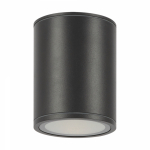 Bar Потолочный светильник O306CL-L12GF Bar Потолочный светильник O306CL-L12GF