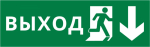 Пиктограмма ДСО-101-IP65-Н "Выход Фигура - вниз 2" Пиктограмма ДСО-101-IP65-Н "Выход Фигура - вниз 2"