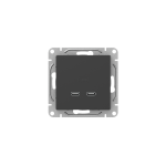 Механизм розетки USB-C - 2шт, чёрный Эпика EKF