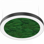 NATURE OREOL MOSS FLD/P (550) 840 BK