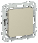 FLITE Заглушка с суппортом ЗГ-ФлШ шам. IEK FLITE Заглушка с суппортом ЗГ-ФлШ шам. IEK