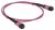 ITK Сборка кабельная MTPM-MTPM тип B 8 MM OM4 1м ITK Сборка кабельная MTPM-MTPM тип B 8 MM OM4 1м