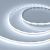 Лента COB-X560-10mm 24V White6000 (9.6 W/m, IP20, 10m) (Arlight, 5 лет) Лента COB-X560-10mm 24V White6000 (9.6 W/m, IP20, 10m) (Arlight, 5 лет)