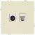 Розетка ЭРА Galaxy 15-3110-02 комбинированная RJ45+TV IP20 слоновая кость