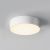 Maytoni Потолочный светильник Zon IP O431CL-L30W3K Maytoni Потолочный светильник Zon IP O431CL-L30W3K