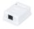 WRline Розетка компьютерная RJ-45, категория 5e, неэкранированная, одинарная, внешняя, Dual IDC, цвет белый WRline Розетка компьютерная RJ-45, категория 5e, неэкранированная, одинарная, внешняя, Dual IDC, цвет белый
