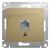 Розетка 1гн комп RJ45 с/у титан механизм кат.5е Glossa Systeme Electric  (1/10)