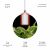 Светильник для растений ЭРА FITO-Hanging сeramic holder 3 m подвесной патрон керамический с кабелем и цоколем Е27 Светильник для растений ЭРА FITO-Hanging сeramic holder 3 m подвесной патрон керамический с кабелем и цоколем Е27